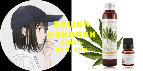 гашик Надым