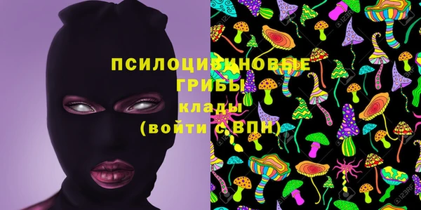 гашик Надым