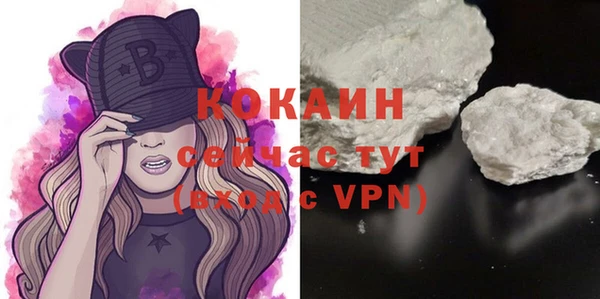 гашик Надым